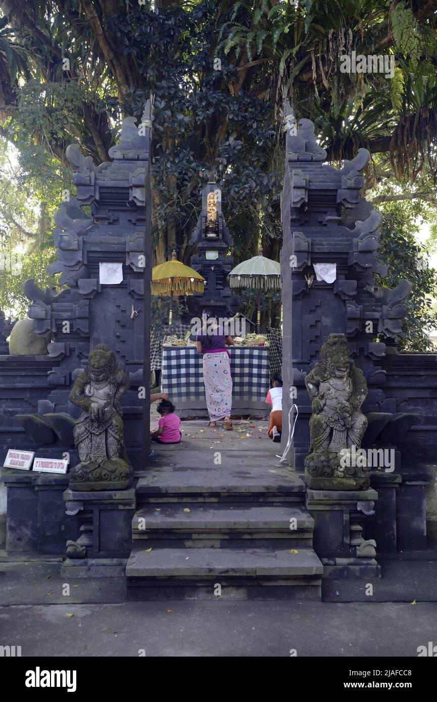 Gläubige erhalten Opfergaben an den Tempel Tirta Empul, Indonesien, Bali Stockfoto