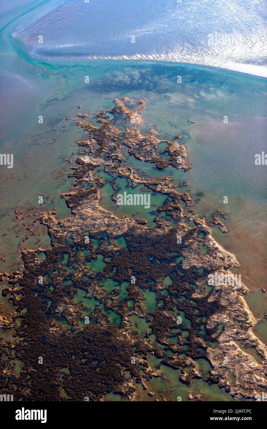 Wattenmeer an der Jade Bucht, 04/18/2022, Luftaufnahme, Deutschland Stockfoto