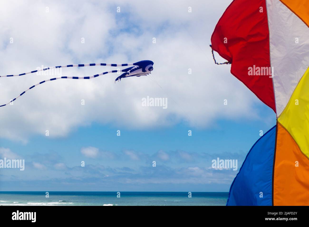 Farbenfrohe Drachen fliegen am Himmel über dem Meer mit Nahaufnahme, die Details lebendiger Farben zeigt Stockfoto