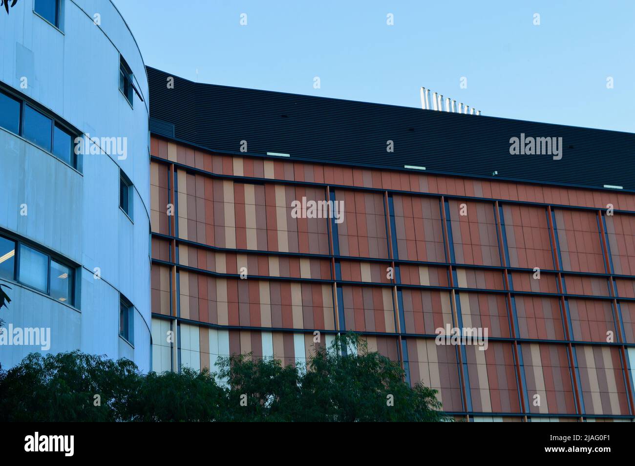 Schnappschüsse an der University of New South Wales Stockfoto