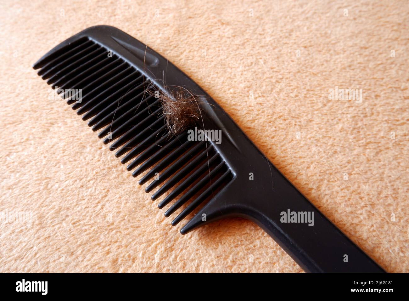 Ein Kamm mit verfilzten Haaren liegt auf einem Handtuch Stockfoto