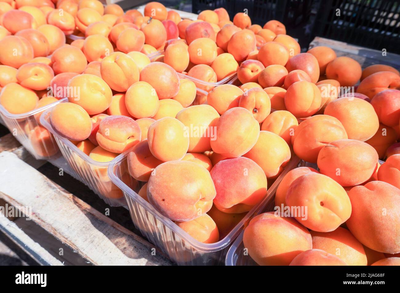Frische reife Aprikosen in Plastikboxen auf dem lokalen Bauernmarkt Stockfoto