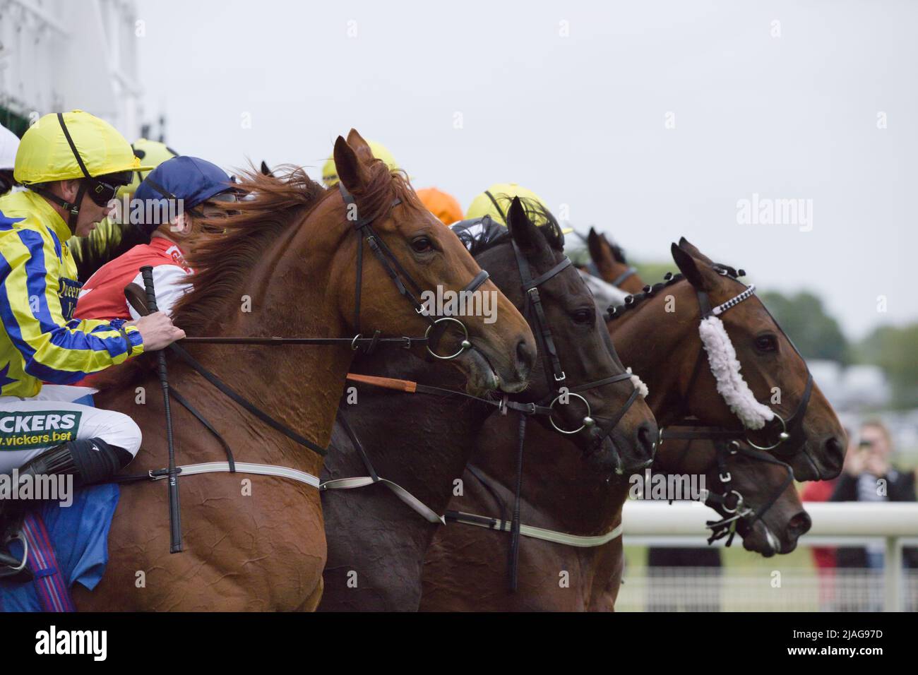 Pferde verlassen die Starttore beim Start der Oaks Farm Stables (gelistet) Stables der Stallfohlen bei York Races. Stockfoto