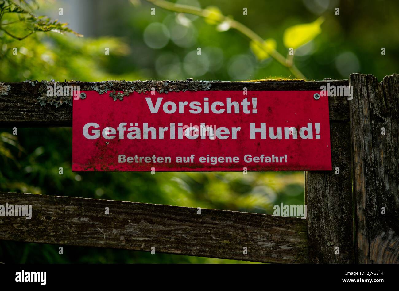 Alte rote Warntafel an einem hölzernen Gartentor mit Schriftzug 'Sicht gefährlicher Hund' Stockfoto