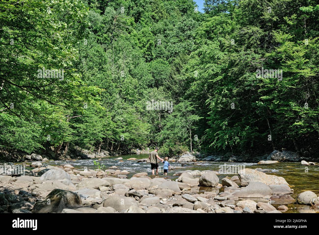 Vater und Sohn wandern am Flussufer des Little River in der Nähe von Cades Cove Tennessee, USA, im Great Smoky Mountains National Park. Stockfoto