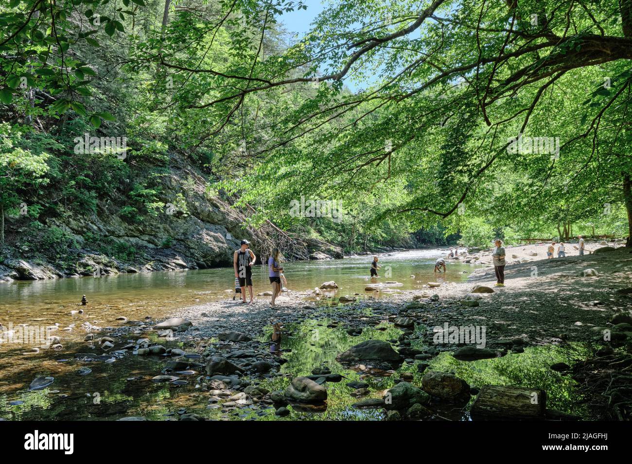 Menschen, Familien und Kinder genießen den Little River in der Nähe von Cades Cove Tennessee, USA. Stockfoto