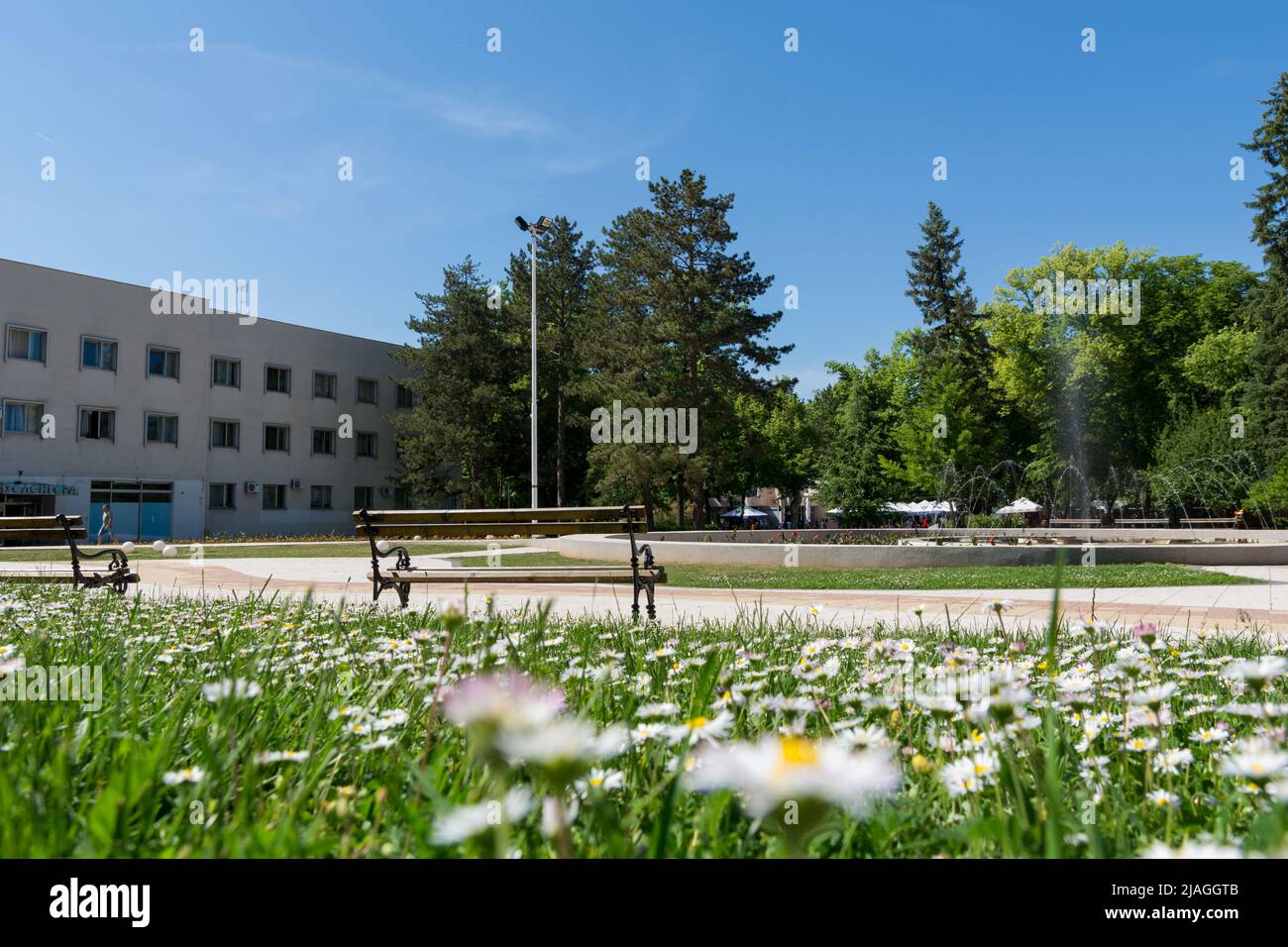 Niska Banja, Serbien - Mai 21. 2022 schöner Park mit Springbrunnen in Niska Banja, Serbien an einem sonnigen Frühlingstag von einer Wiese mit Gänseblümchen Stockfoto