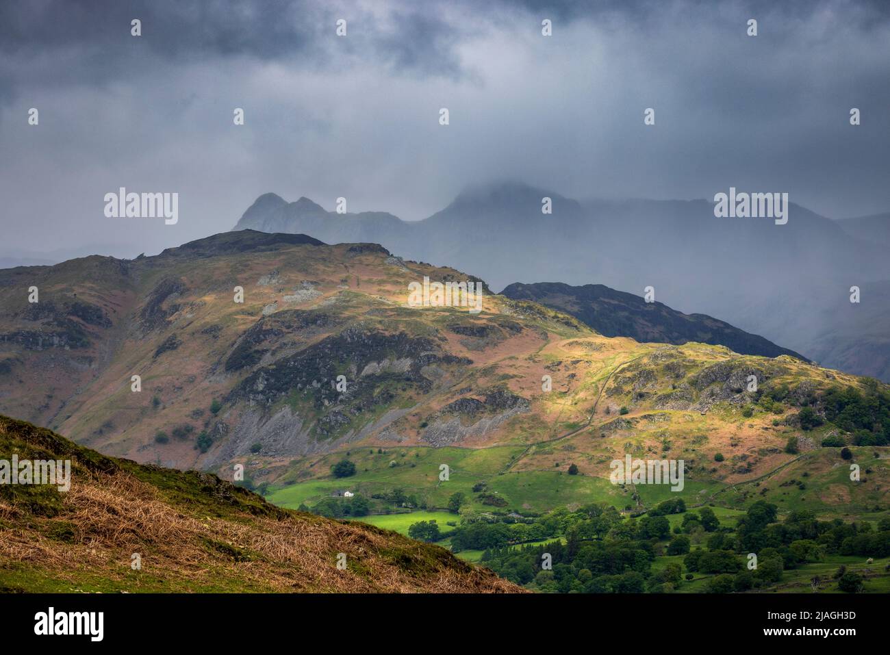 Ein sonnenbeschienenen Holme fiel und nebligen Langdale Pikes aus Black Fell, Lake District, England Stockfoto