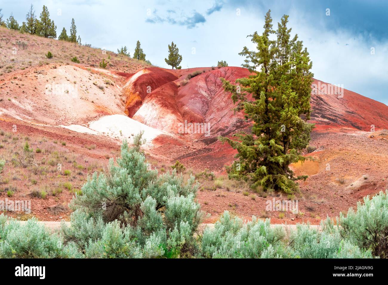 Wunderschöne, malerische und farbenfrohe Painted Hills aus Oregon, USA. Wüstenlandschaft mit grauen Wolken. Natürliche Landbildung, Geologie. Stockfoto