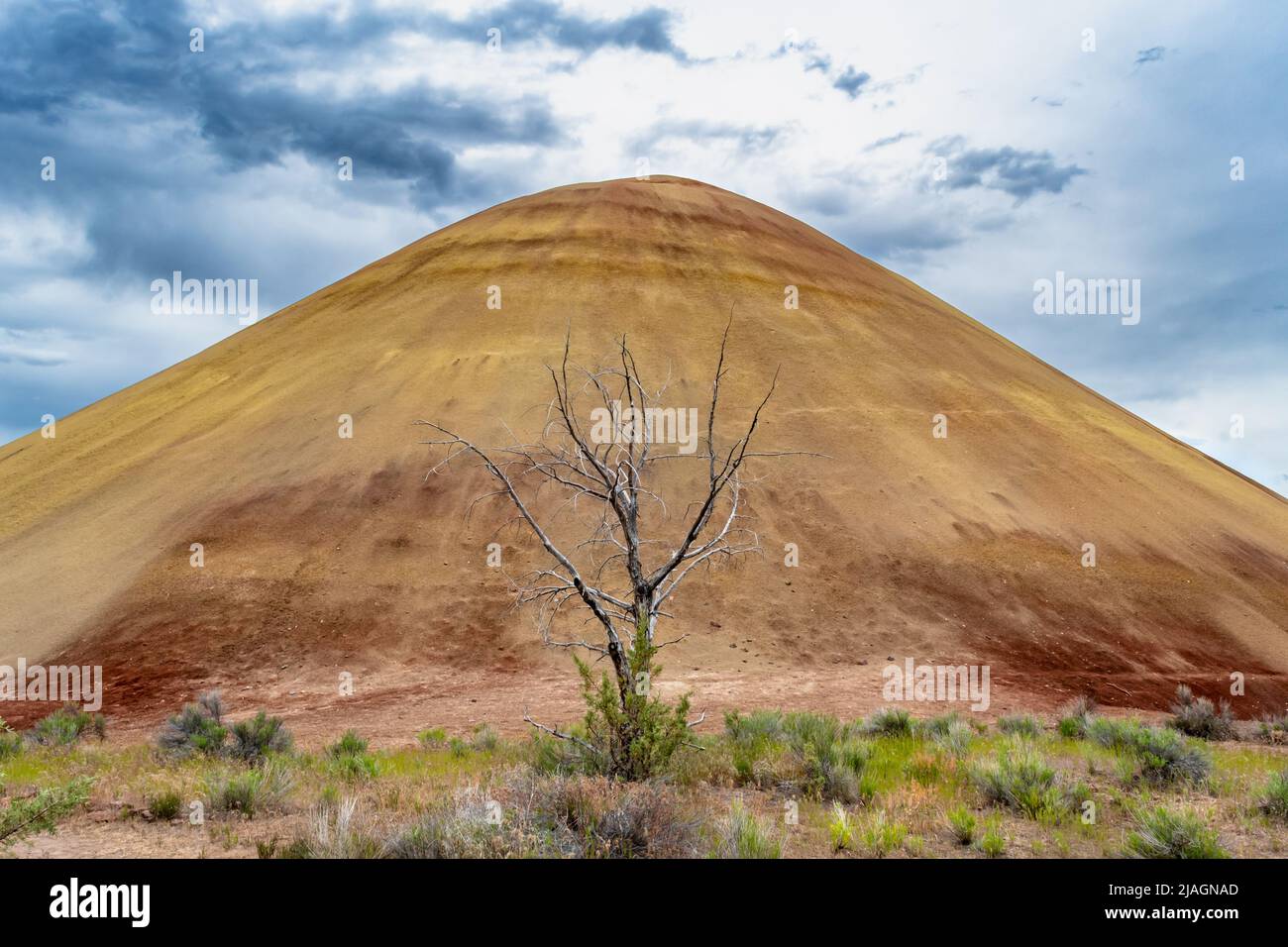 Wunderschöne, launische Painted Hills aus Oregon, USA mit einem toten Baum und stürmischem, bewölktem Himmel. Natürliche Landbildung, Geologie. Stockfoto
