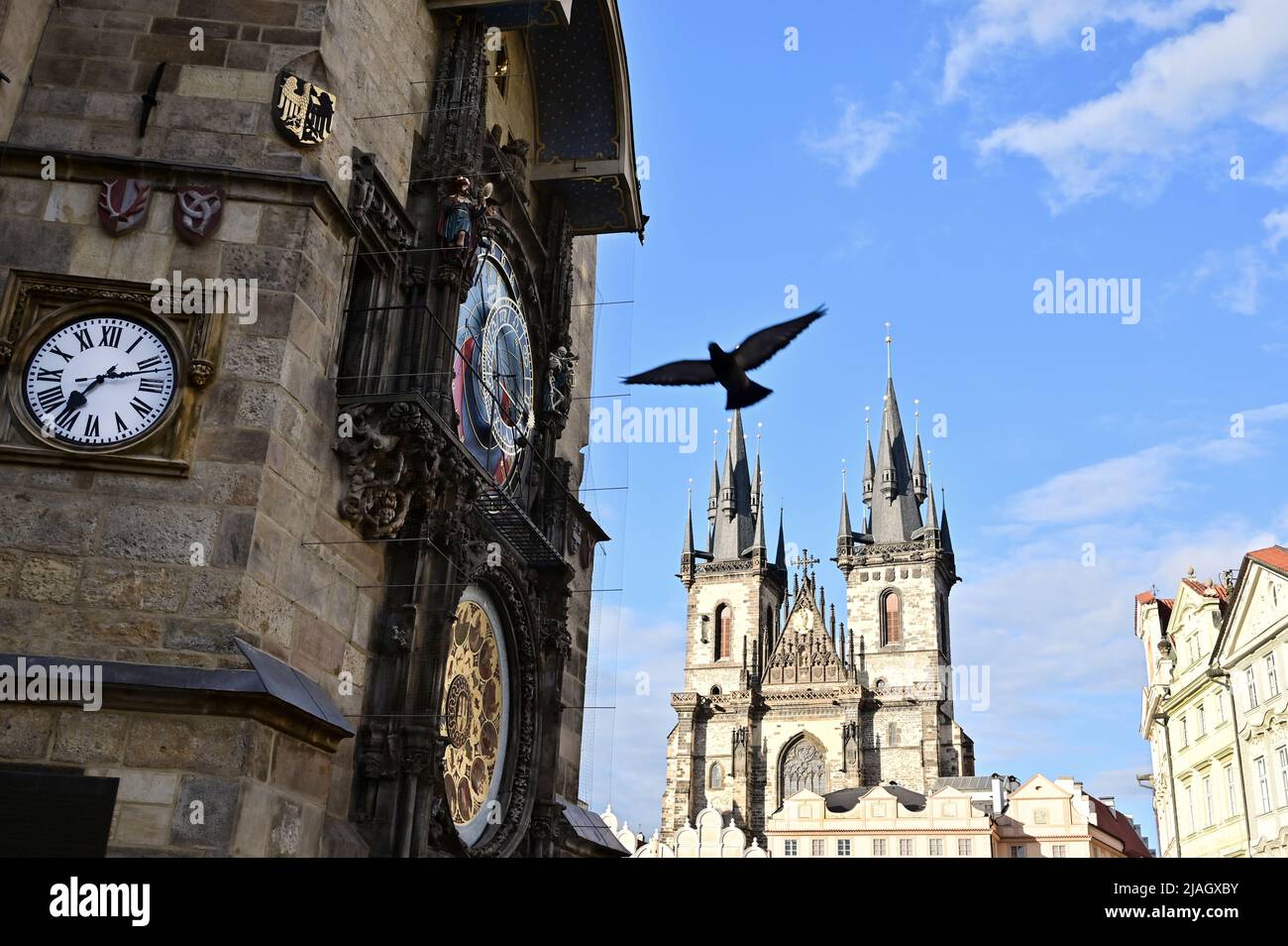 Eine Taube, die am berühmten Uhrenturm im Zentrum der Prager Altstadt vorbeifliegt. Stockfoto