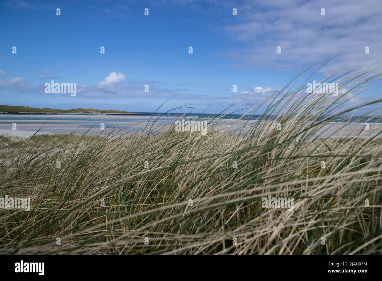 Blick durch das hohe drahtige Gras auf den Sanddünen und Machair auf Clachan Sands bei Ebbe auf North Uist, Äußere Hebriden, Schottland Stockfoto