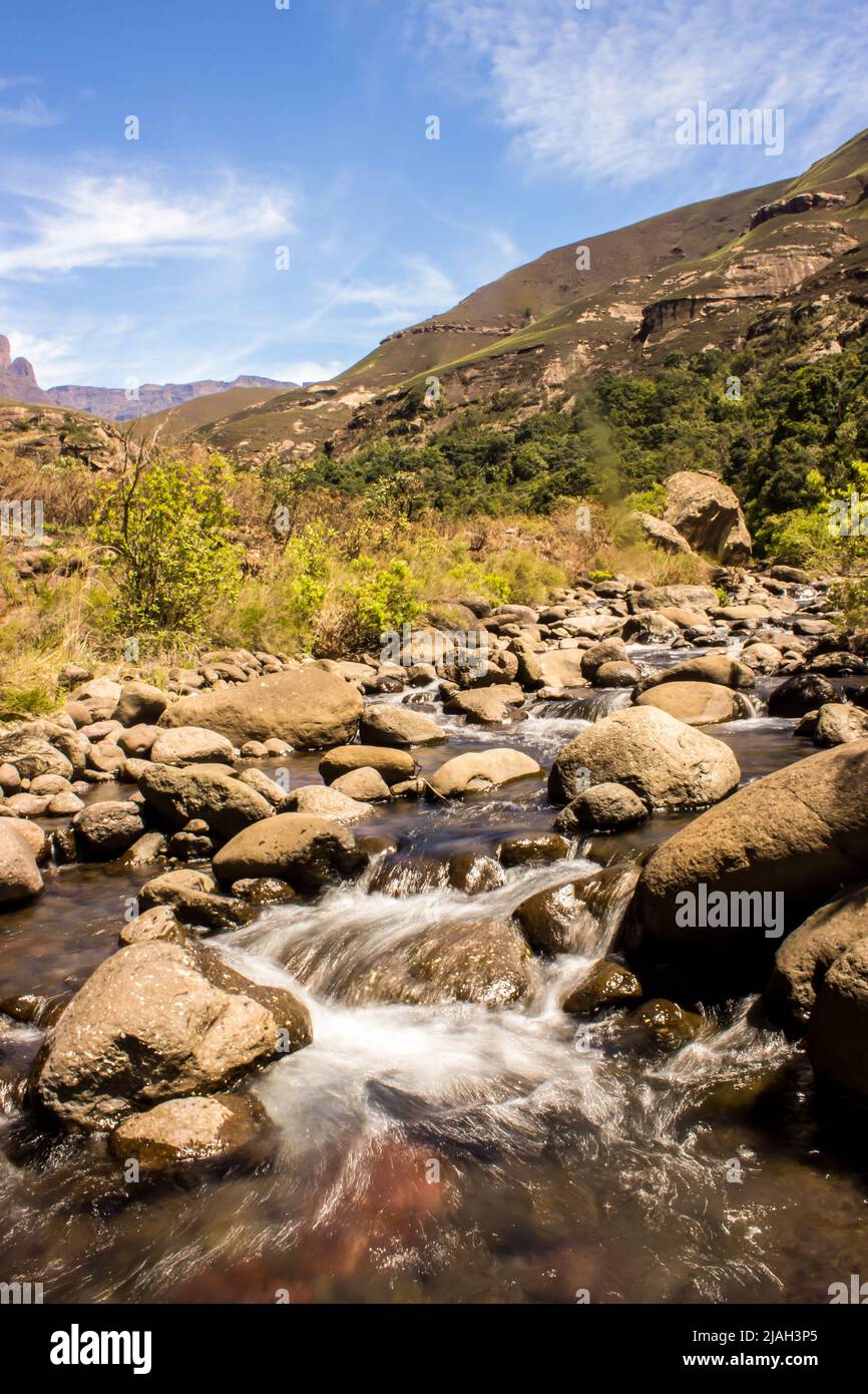 Der Injisuti River, auch bekannt als Little Tugela, fließt an einem sonnigen Tag in den Drakensberg Mountains in Südafrika schnell über abgerundete Felsbrocken Stockfoto