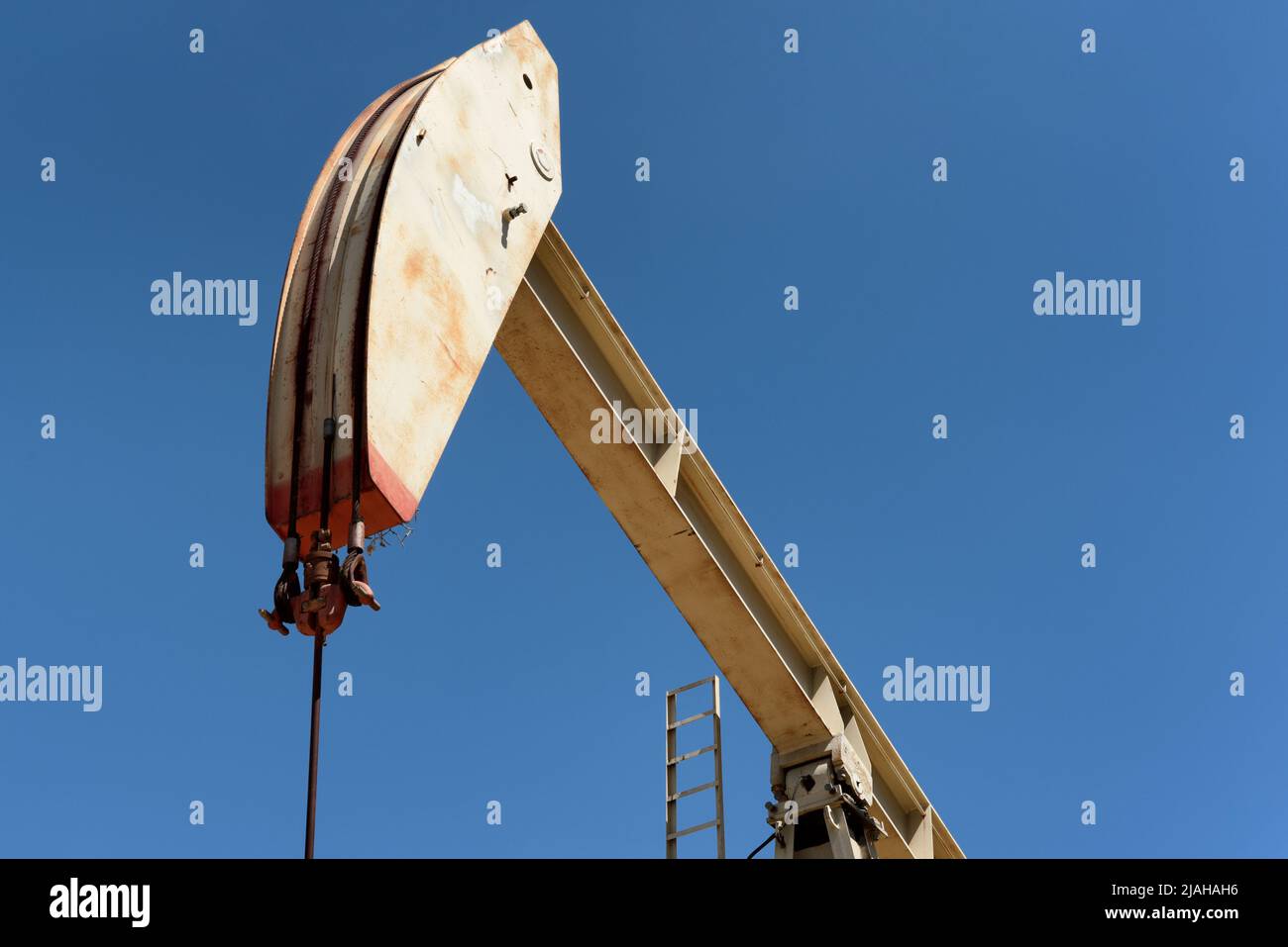 Nahaufnahme eines Kürbiers in einem Ölfeld mit einem strahlend blauen Himmel. Stockfoto