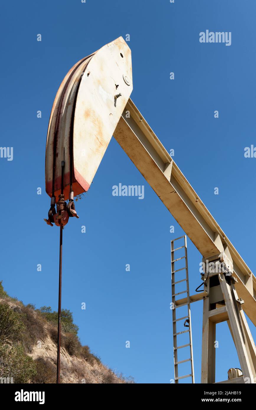 Nahaufnahme eines Kürbiers in einem Ölfeld mit einem hellblauen Himmel und einem Hügel im Hintergrund. Stockfoto