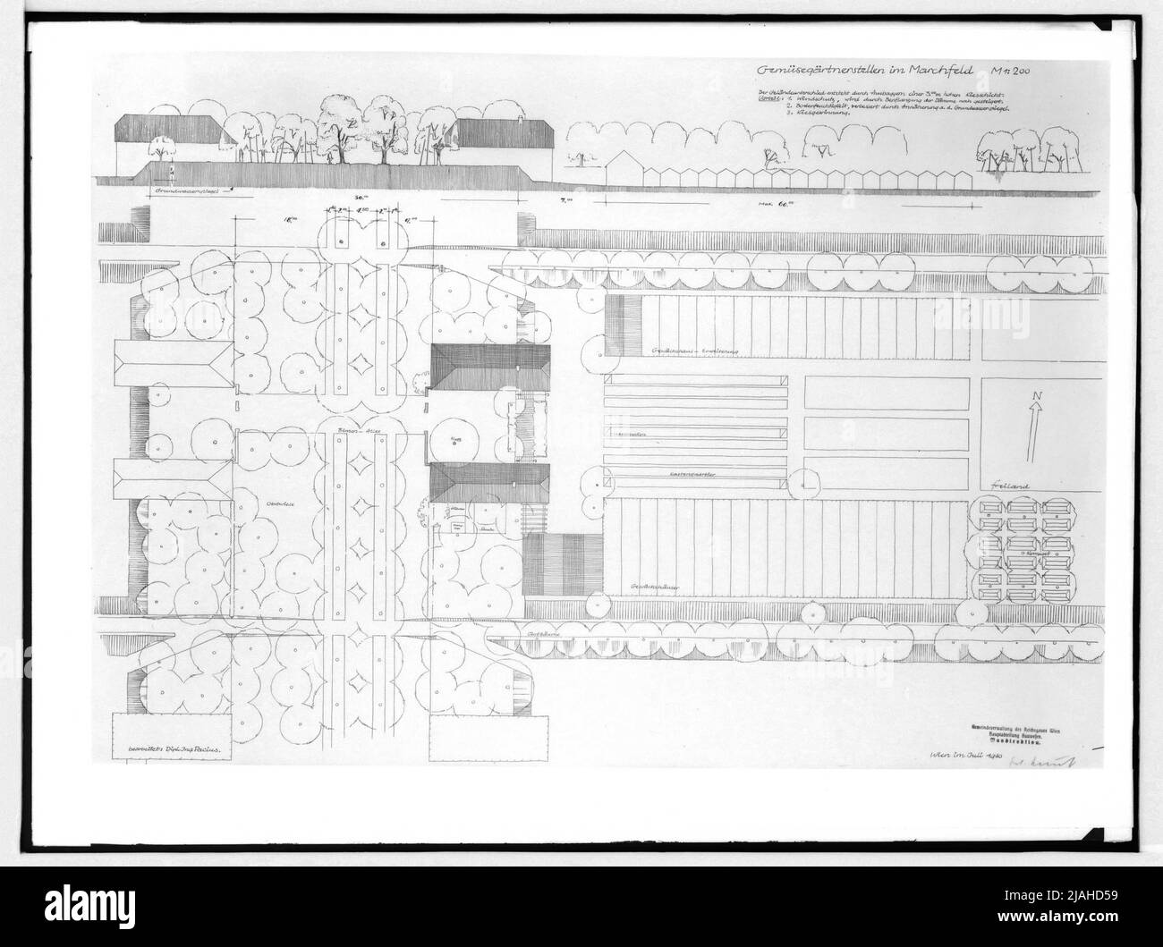 Schnitt- und Grundrissplan der geplanten Gemüsegärten-Positionen im Marchfeld (Herausgeber: Di Pacius) Stockfoto