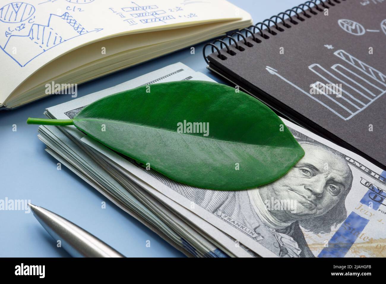 Ein grünes Blatt auf einem Geldbündel als Symbol für Impact Investment. Stockfoto