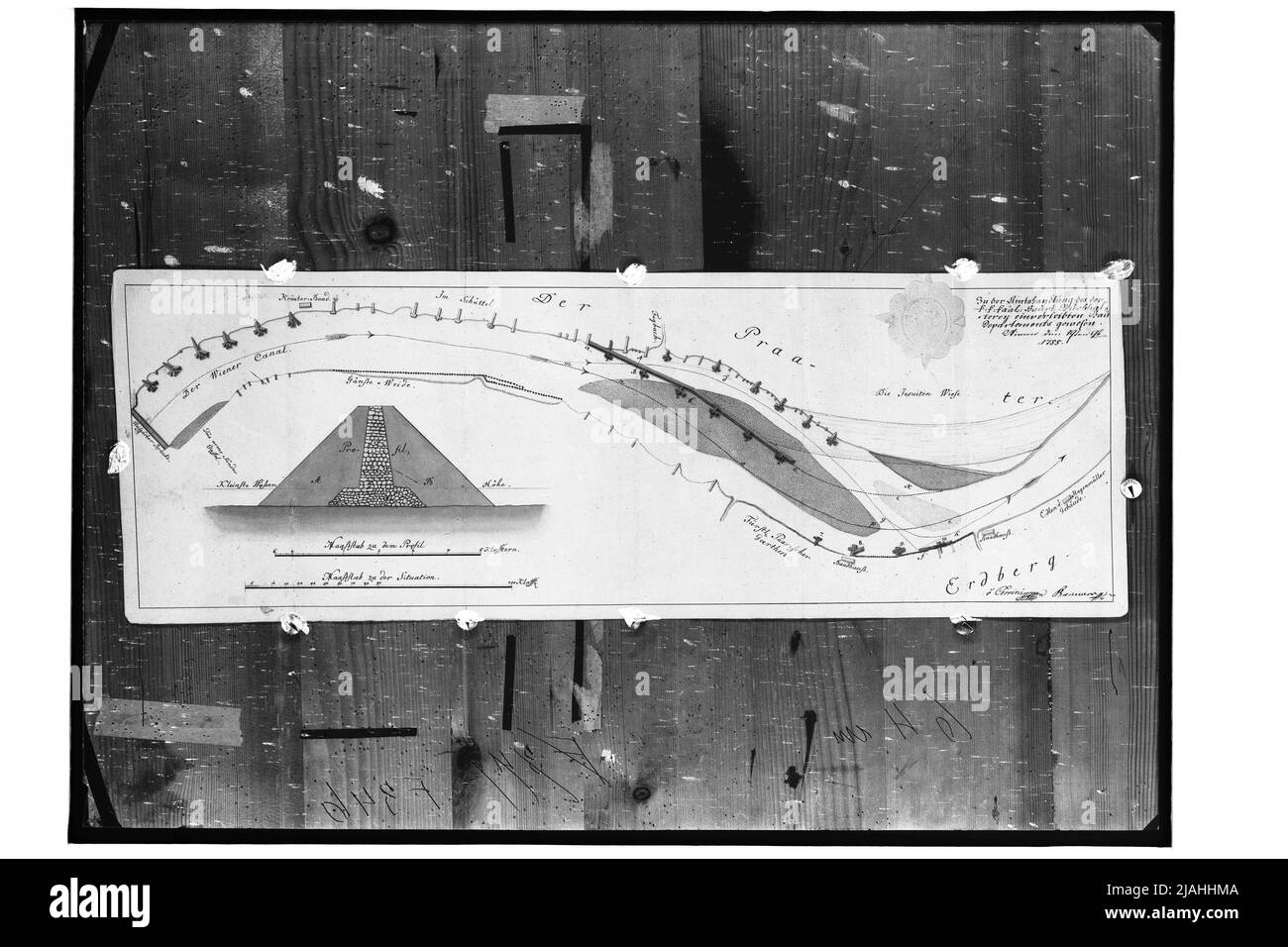Planen Sie die Danubuanal-Aufbrütung bei Regen (1788) Stockfoto