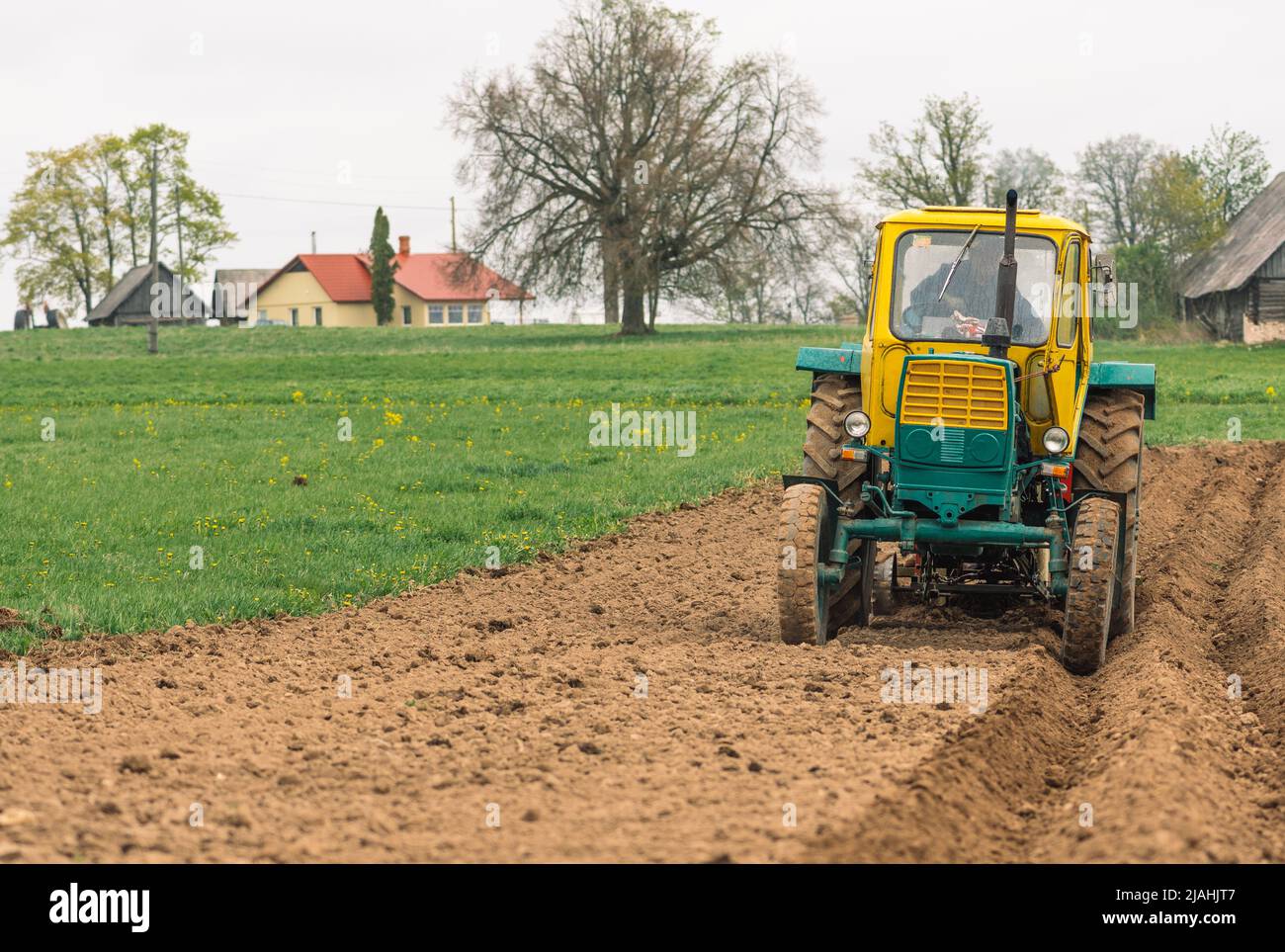 Pflügen und Aussaat des Bodens mit dem alten Bauerntraktor Weißrussland auf dem landwirtschaftlichen Feld im Frühling, mit den alten traditionellen Holzhäusern Stockfoto