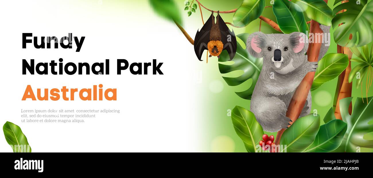 Horizontales Poster für australische Tiere mit Bildern von Koala und Ratte mit exotischen Blättern und editierbarer Text-Vektorgrafik Stock Vektor