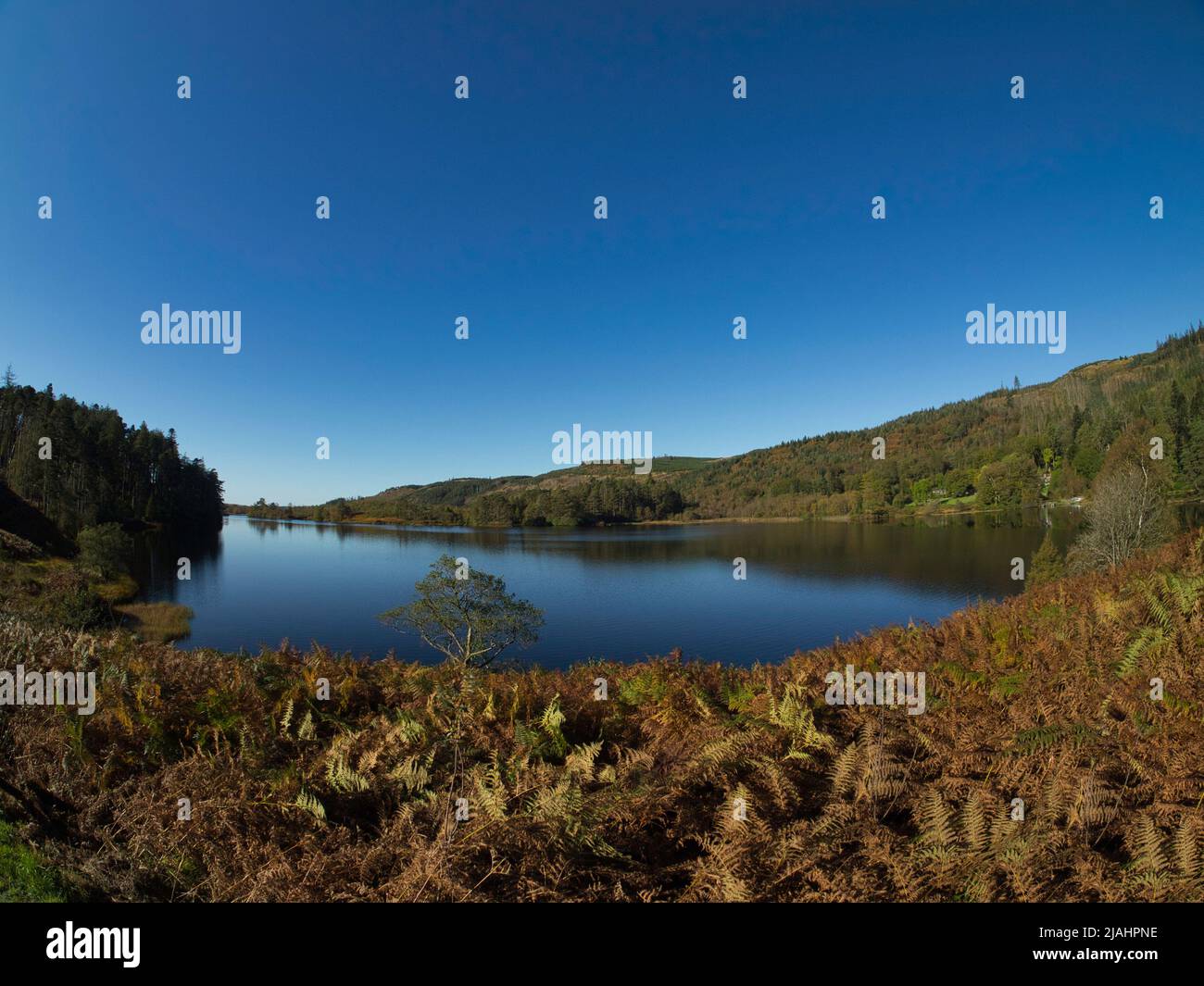 Loch Trool, Glentrool Galloway Stockfoto