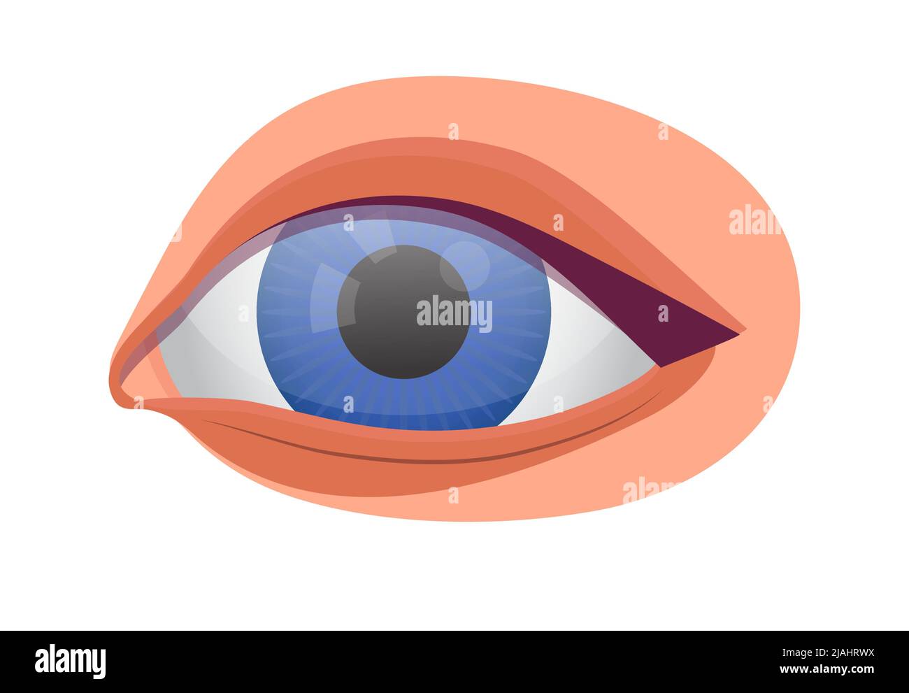 Symbolvektor für das menschliche Auge für medizinische Anwendungen, Web und Blogs. Überprüfen Sie die Abbildung für das Sehvermögen. Optiker, Augenheilkunde Problem und Krankheit. Myopie, Glaukom t Stock Vektor