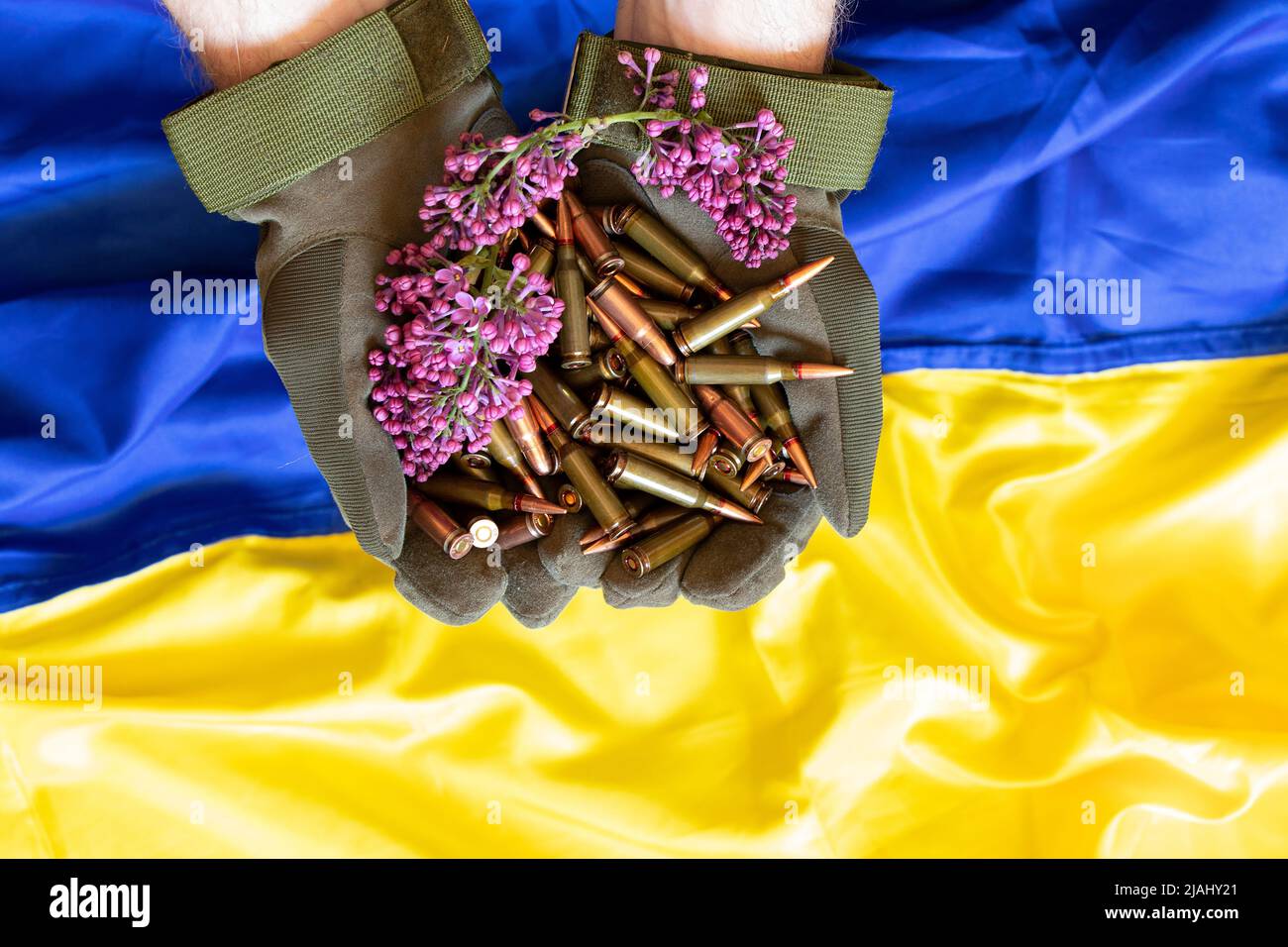 Ein ukrainischer Soldat in Handschuhen hält Kugeln aus einem Maschinengewehr vor dem Hintergrund der Flagge der Ukraine, Waffen der ukrainischen Armee, der Krieg i Stockfoto