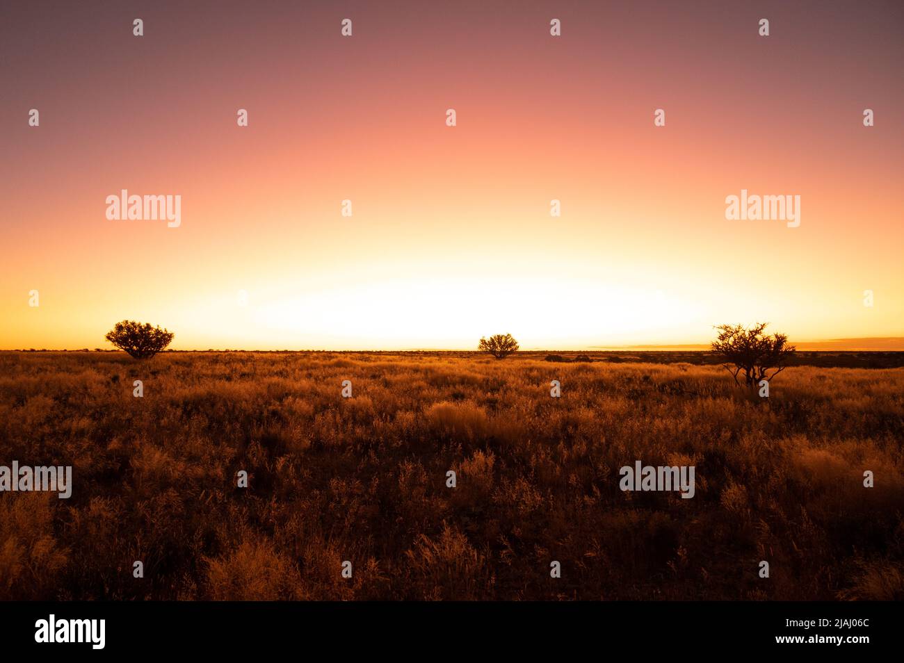 Wunderschöner Sonnenuntergang über der malerischen kalahari-Landschaft in Namibia Stockfoto