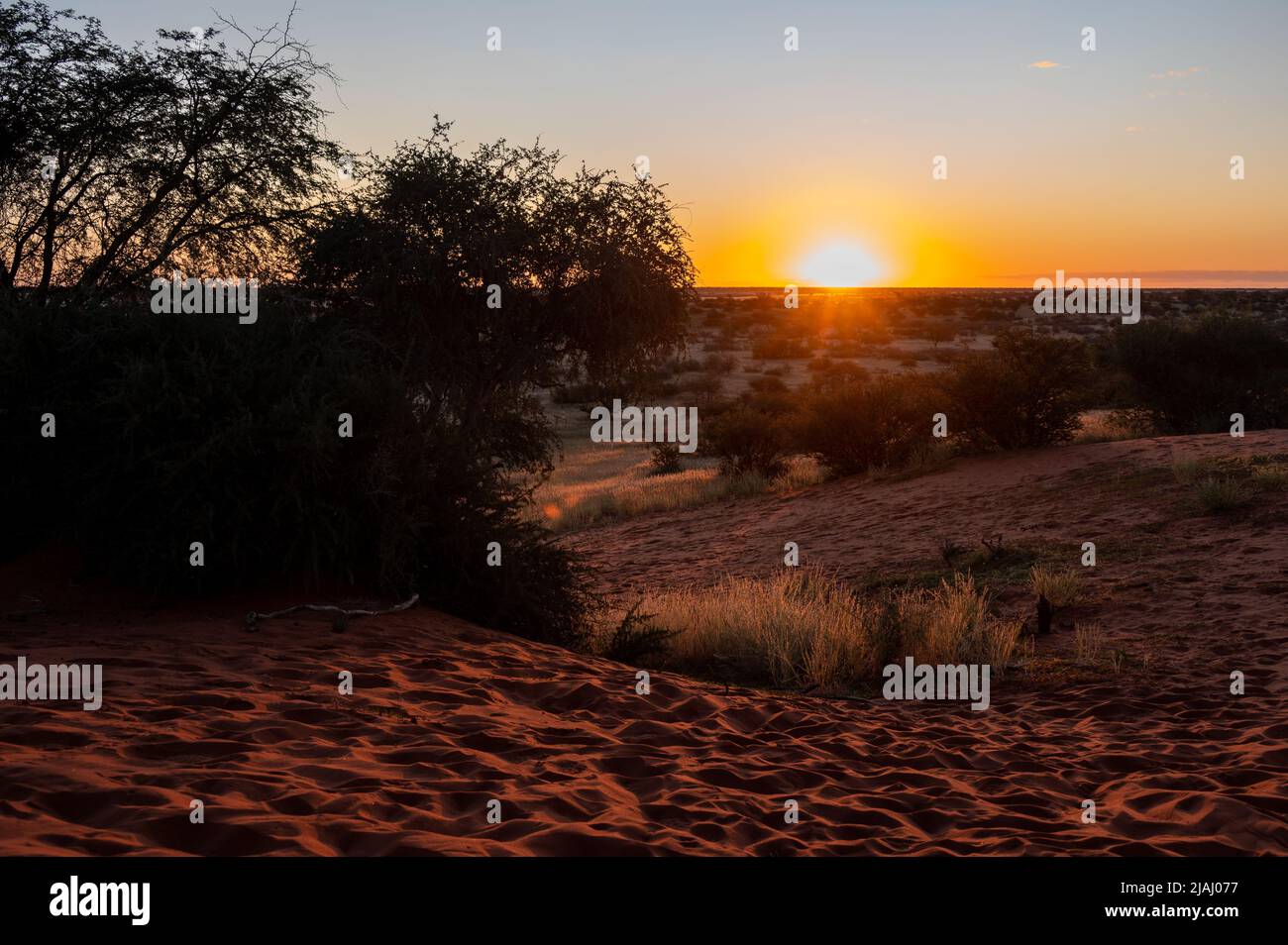 Wunderschöner Sonnenuntergang über der malerischen kalahari-Landschaft in Namibia Stockfoto