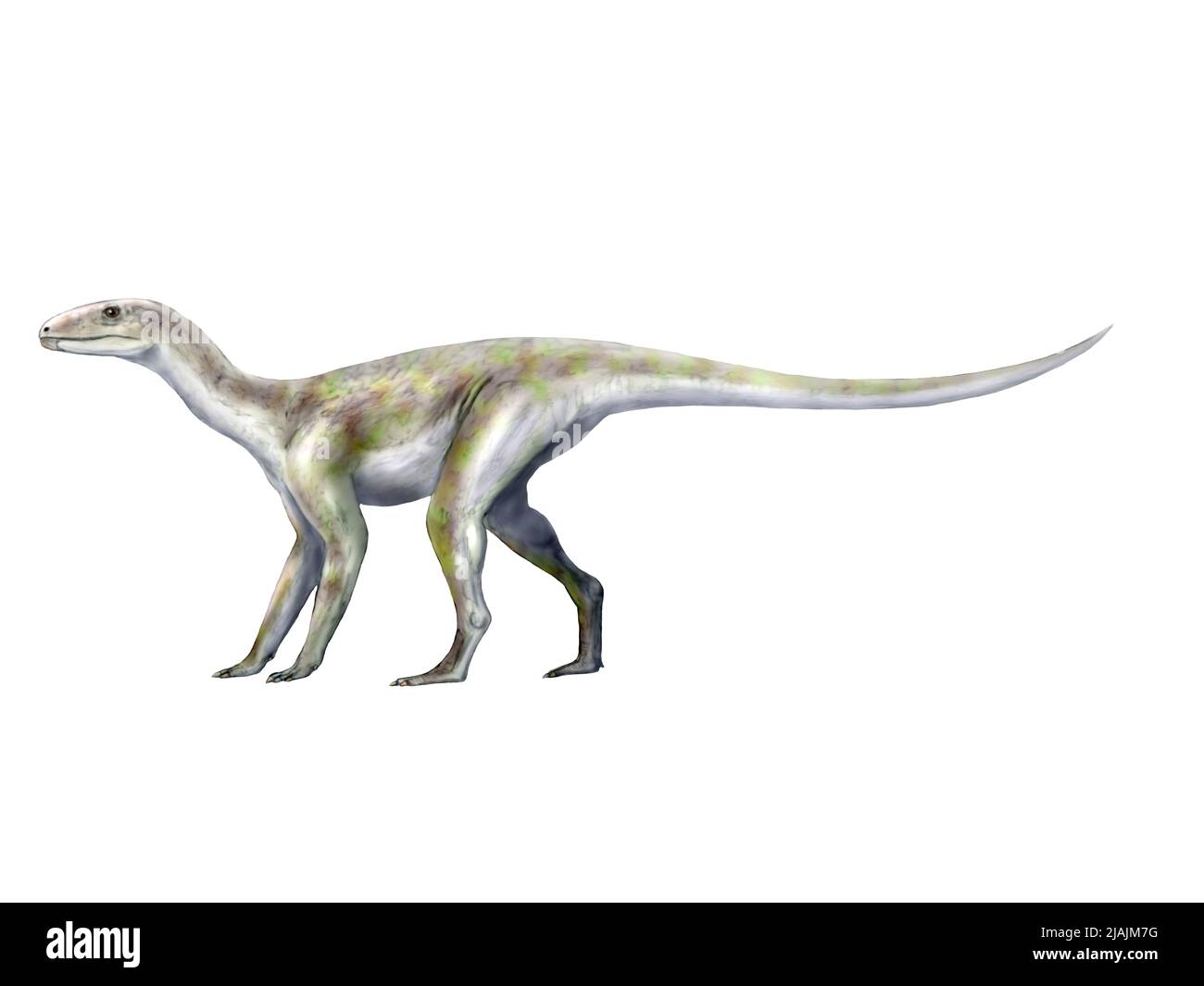 Silesaurus opolensis, eine Dinosaurier aus der späten Trias Polens. Stockfoto