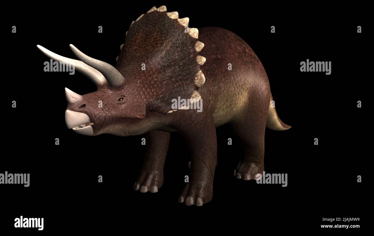 Triceratops-Dinosaurier. Stockfoto