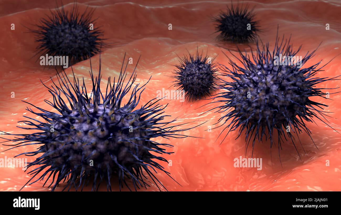 Biomedizinische Darstellung der Neisseria meningitidis, einer bakteriellen Meningitis, an der Oberfläche. Stockfoto