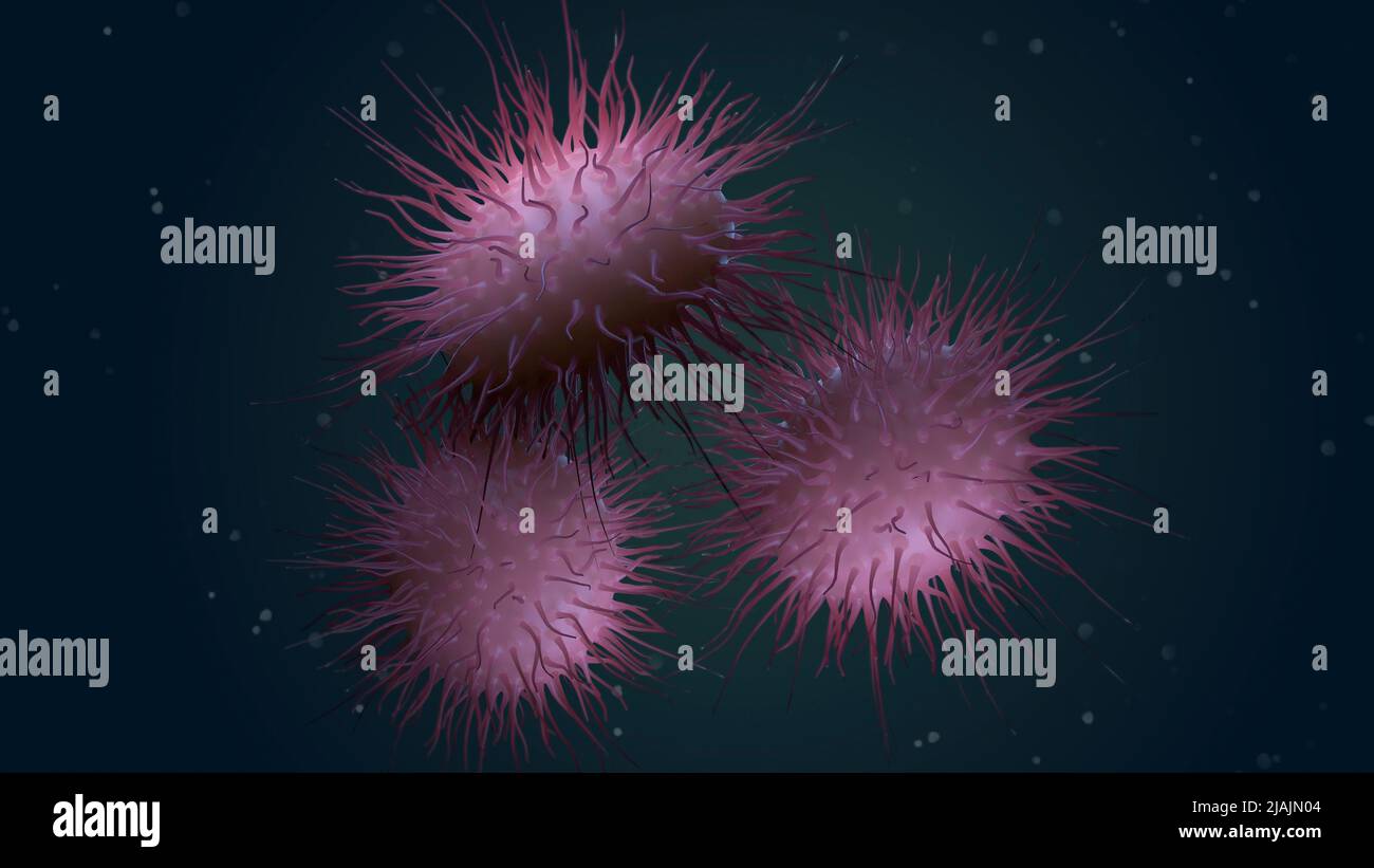 Biomedizinische Illustration der Neisseria meningitidis, einer bakteriellen Meningitis. Stockfoto
