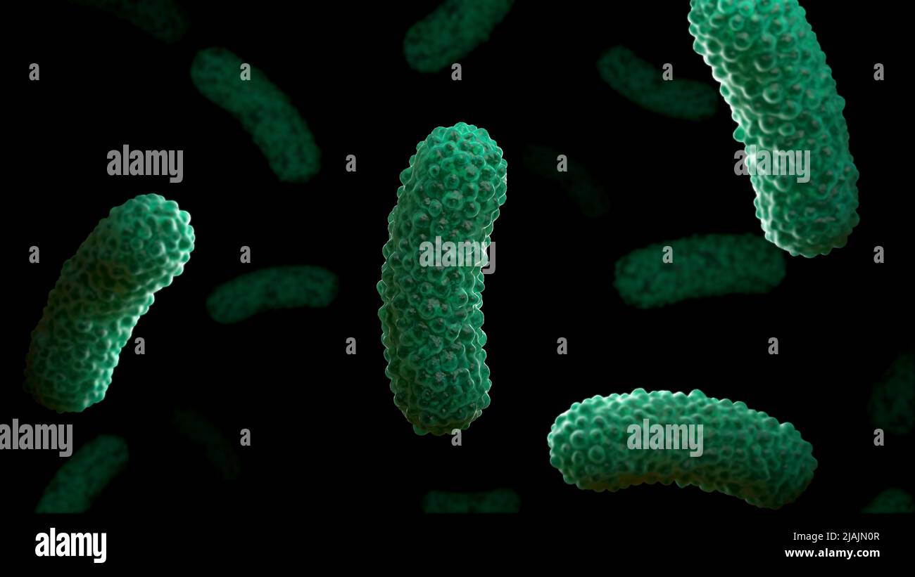 Konzeptionelle biomedizinische Illustration der Bakterien Bordetella pertussis, auf schwarzem Hintergrund. Stockfoto