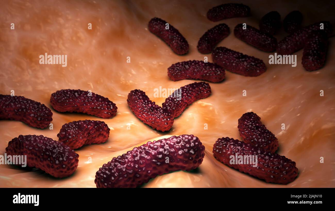 Konzeptionelle biomedizinische Illustration der Bakterien Bordetella pertussis auf der Oberfläche. Stockfoto