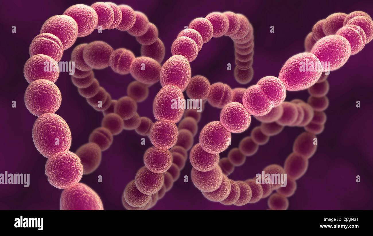 Konzeptionelle biomedizinische Illustration der Epiglottitis. Stockfoto