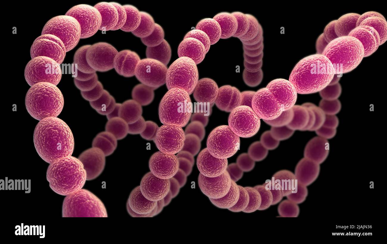 Konzeptionelle biomedizinische Illustration der Epiglottitis, auf schwarzem Hintergrund. Stockfoto