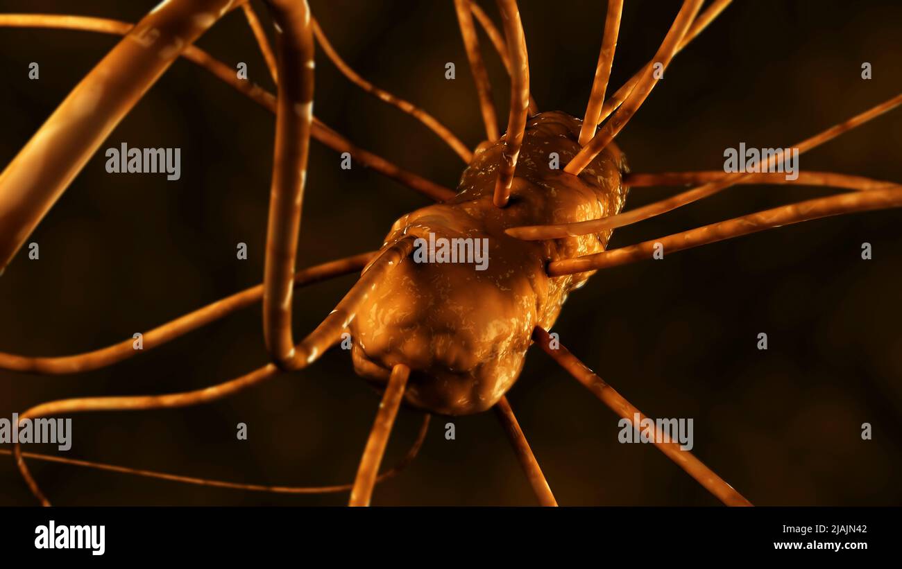 Konzeptionelle biomedizinische Illustration der Gastroenteritis. Stockfoto