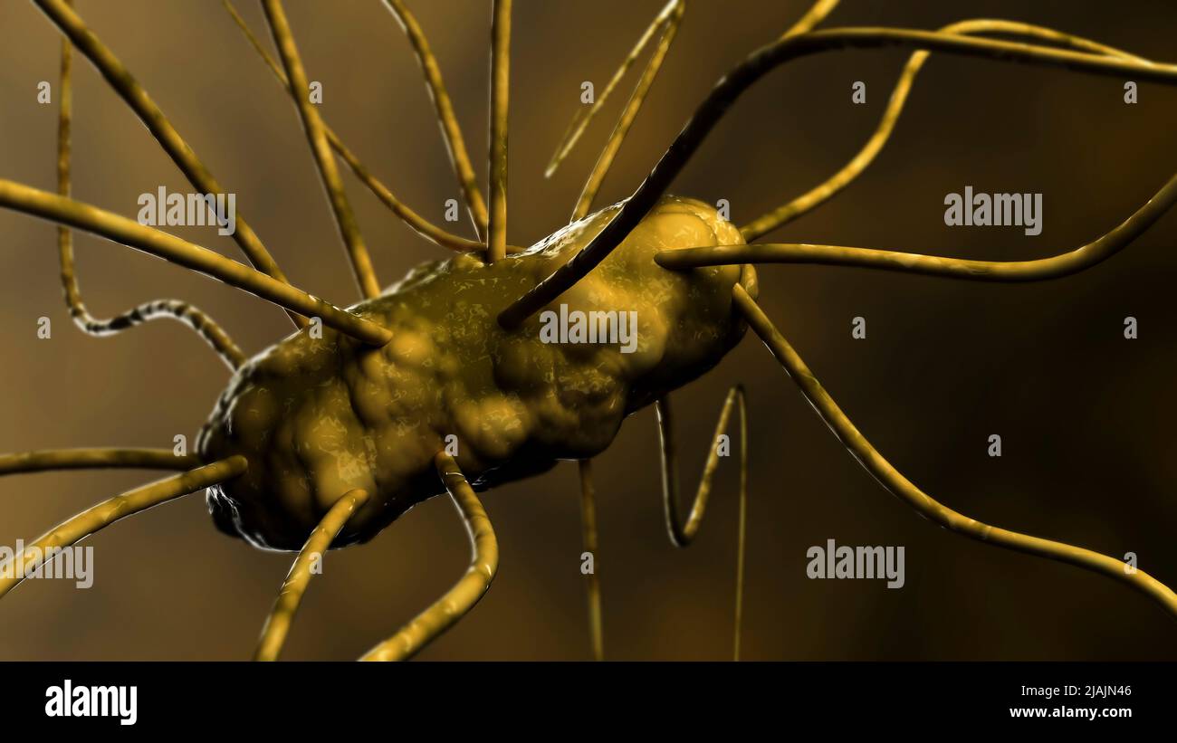 Konzeptionelle biomedizinische Illustration der Gastroenteritis. Stockfoto