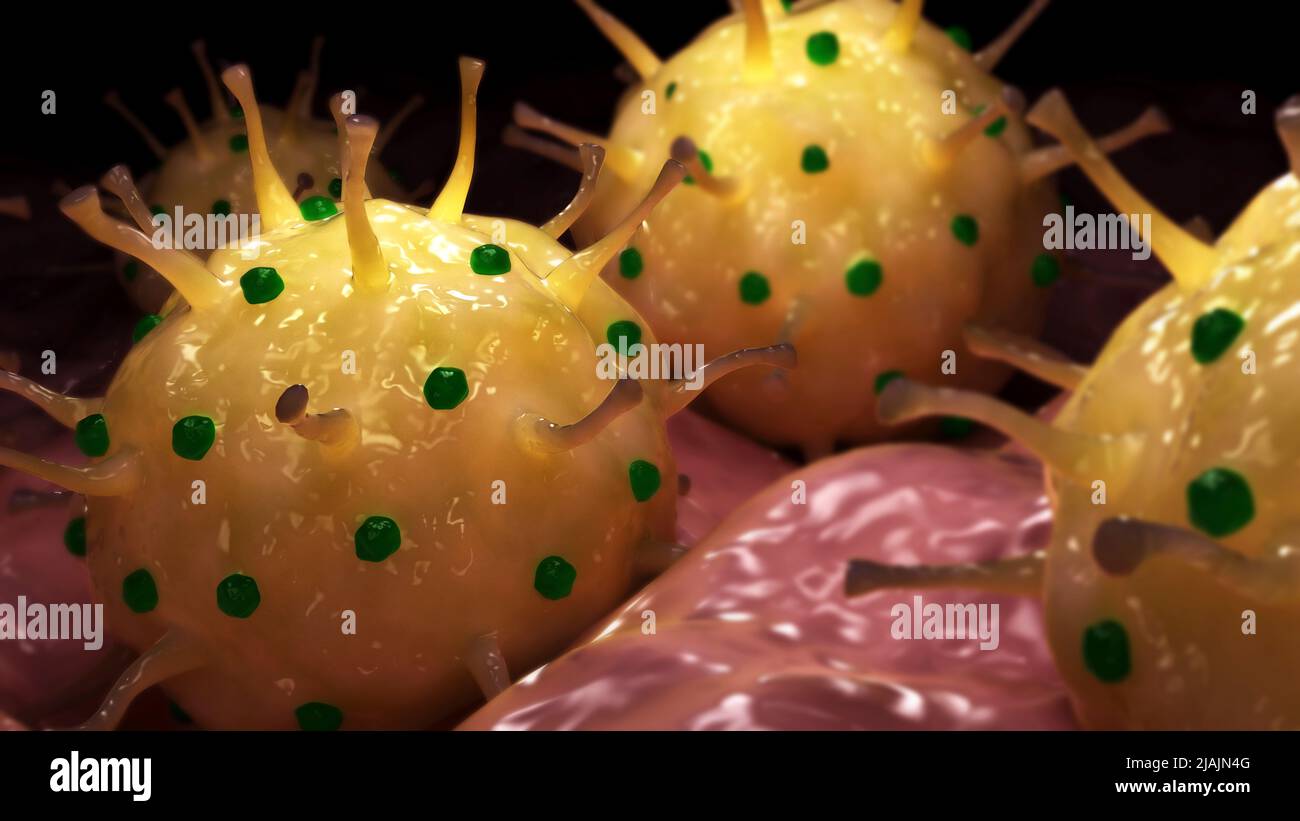 Konzeptionelle biomedizinische Illustration von Herpes genitalis auf der Oberfläche. Stockfoto