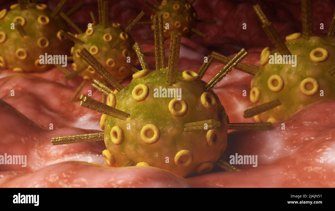 Konzeptionelle biomedizinische Illustration des Herpes-simplex-Virus an der Oberfläche. Stockfoto