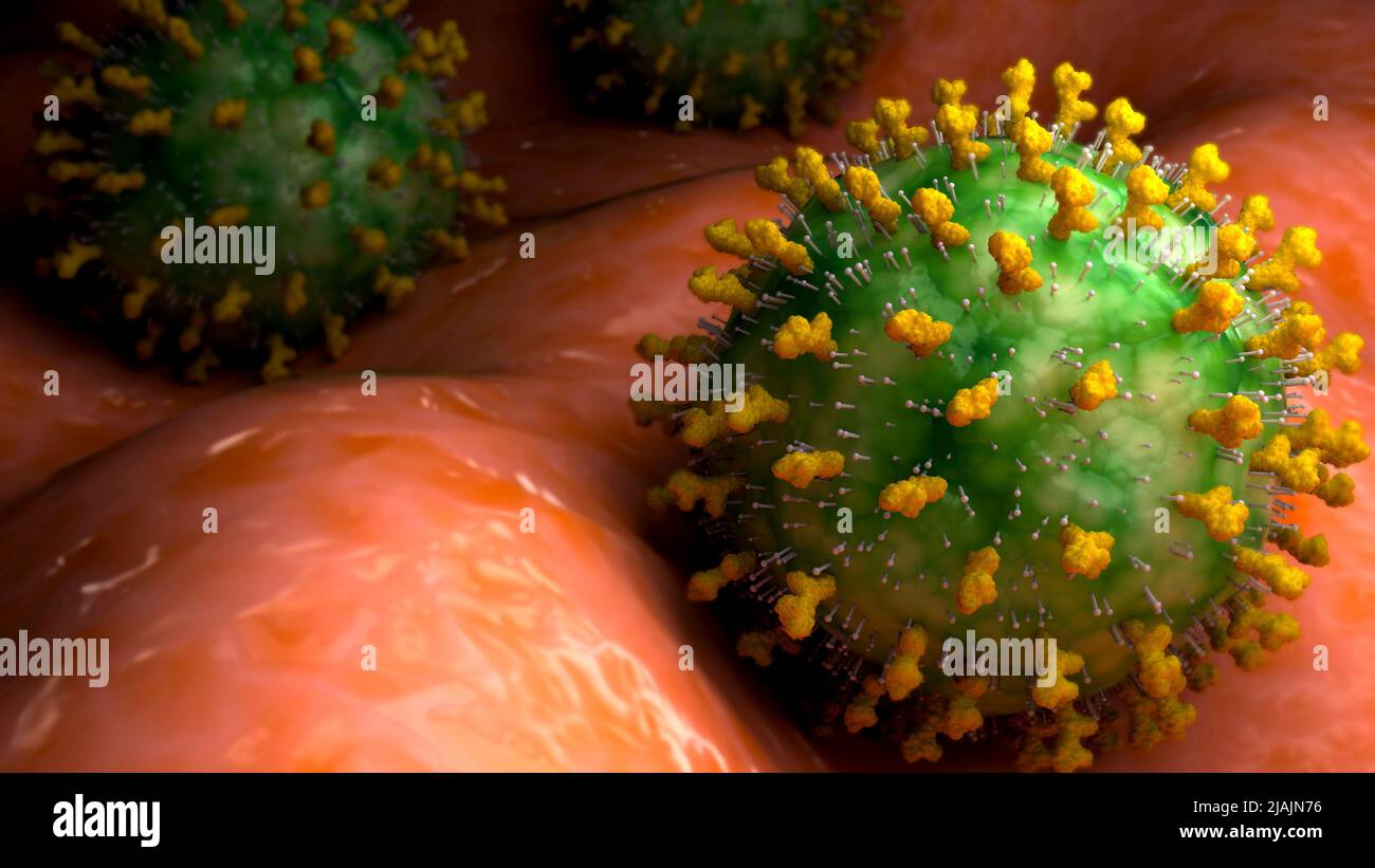 Konzeptionelle biomedizinische Illustration des Molluskum contagiosum-Virus an der Oberfläche. Stockfoto