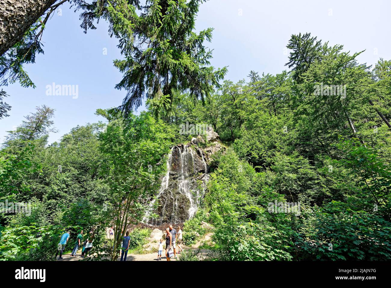 Teufelsmauer Thale. Harz Stockfoto