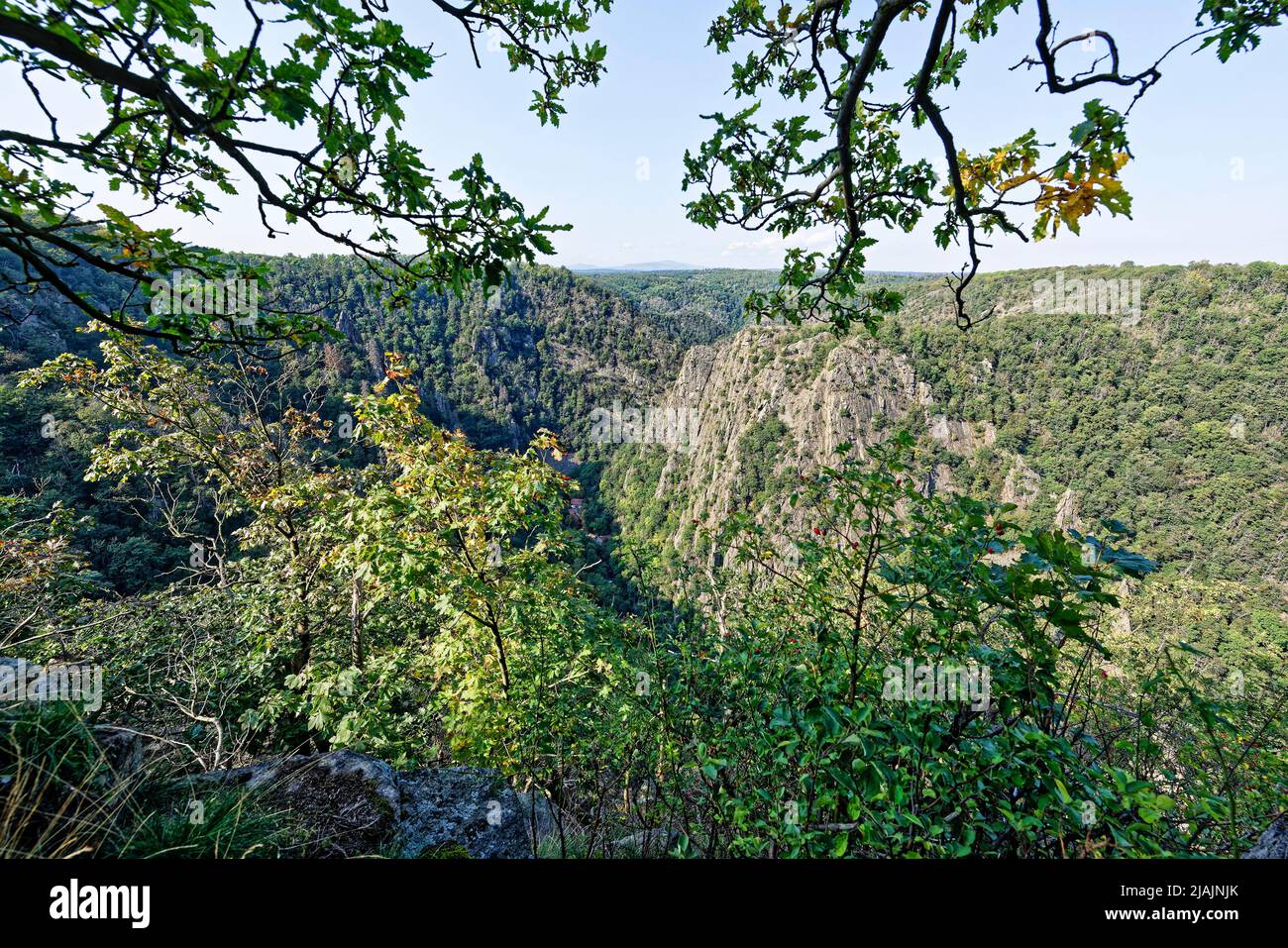 Teufelsmauer Thale. Harz Stockfoto