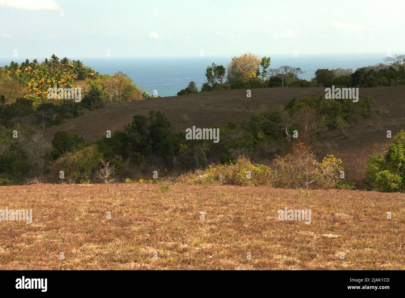 Hügelige Küstenlandschaft während der Trockenzeit in Rua, Wanokaka, West Sumba, East Nusa Tenggara, Indonesien. Stockfoto