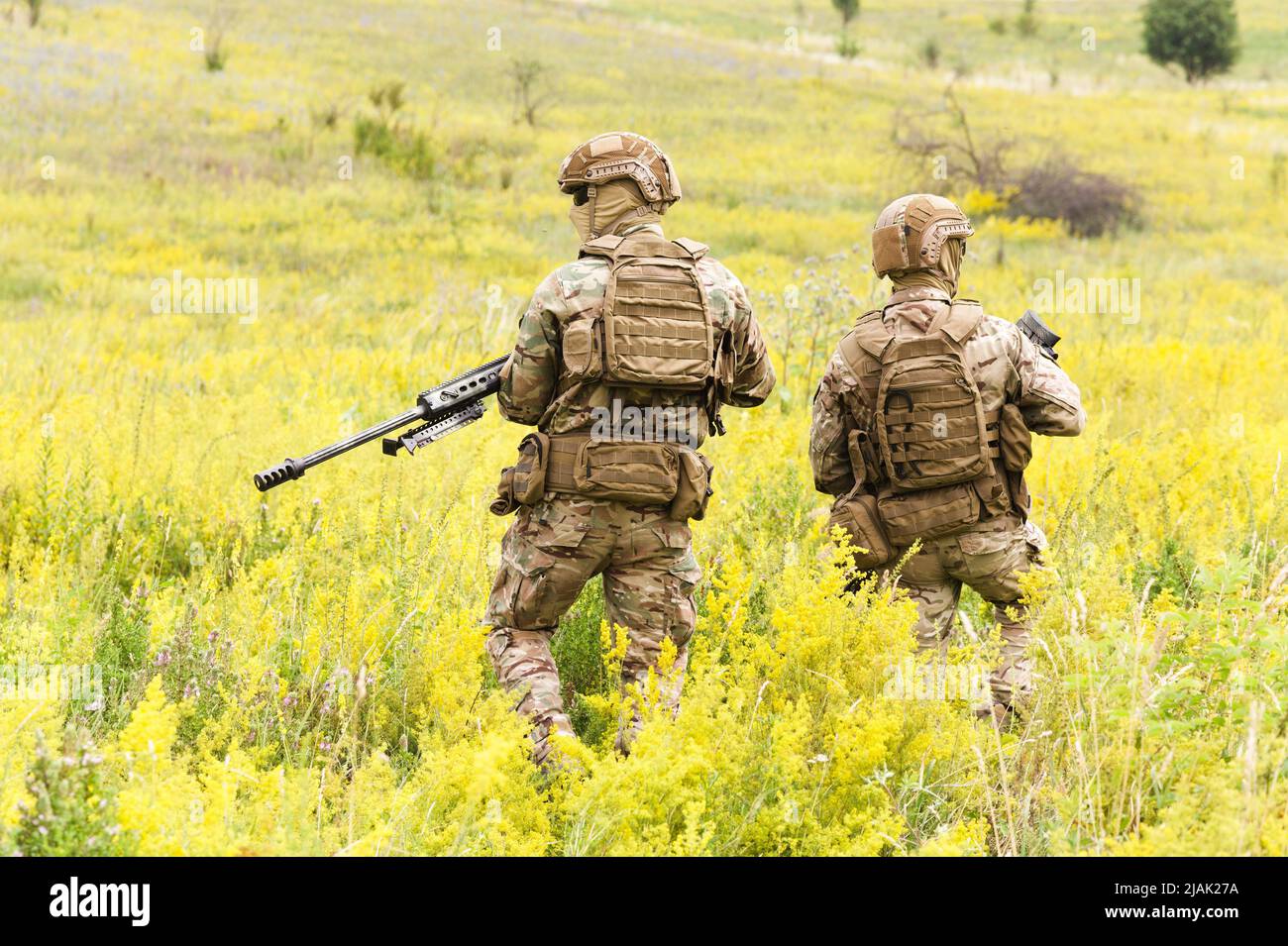 Rückansicht von zwei Soldaten, die auf einer Fußpatrouille durch ein blühendes Feld laufen. Stockfoto