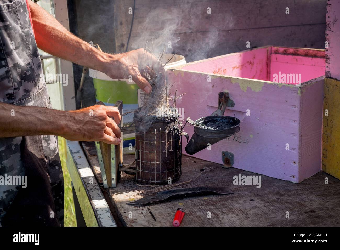 Imker bereitet den Bienenstochter für die Bienenstockinspektion vor Stockfoto