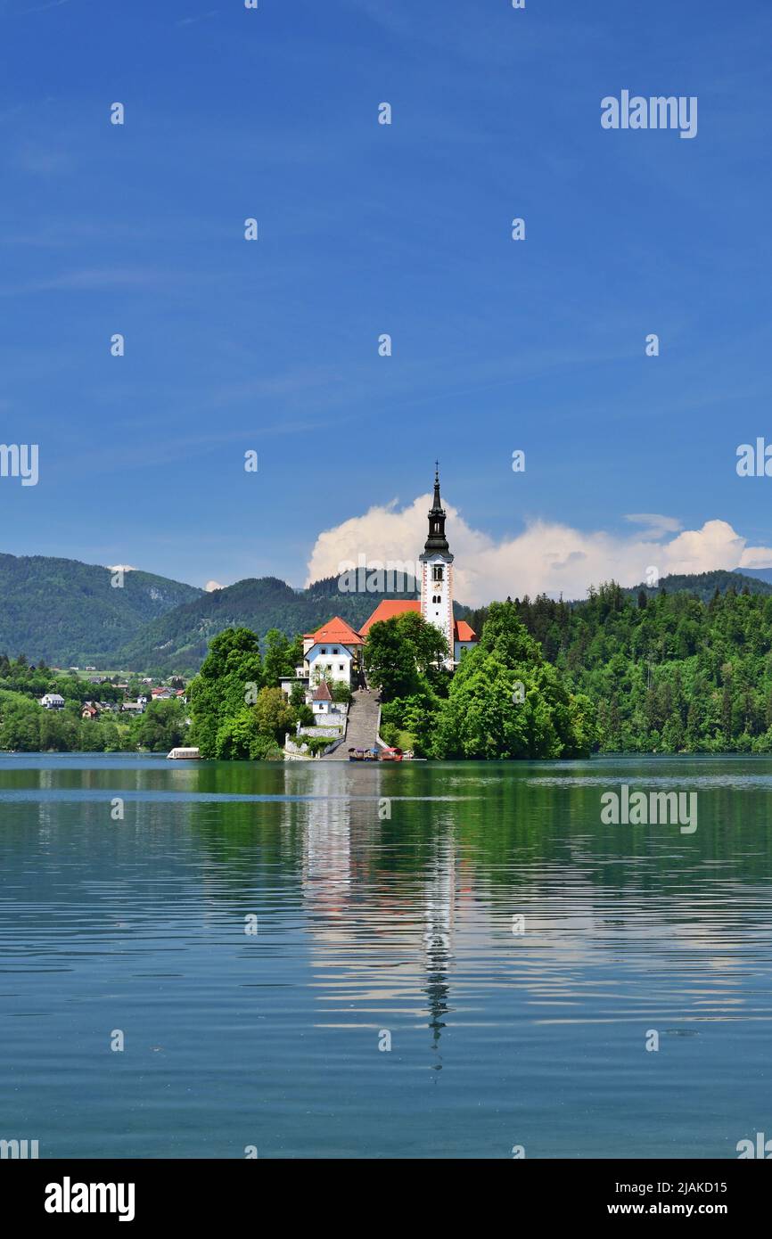 Landschaftlich schöner Blick auf den Bleder See und die Insel mit Kirche, vertikal Stockfoto