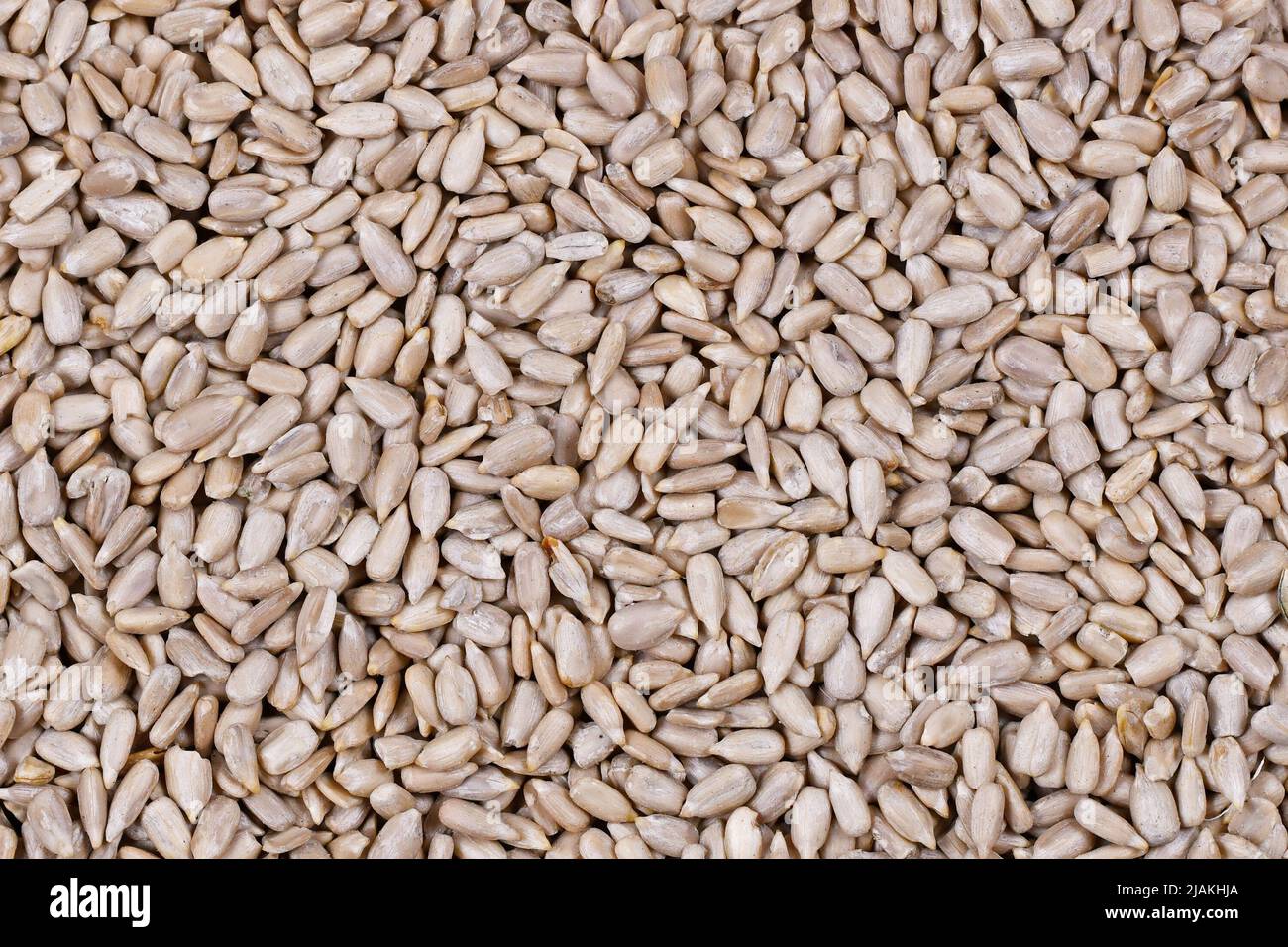 Viele weiße, geschälte Sonnenblumenkerne Stockfoto