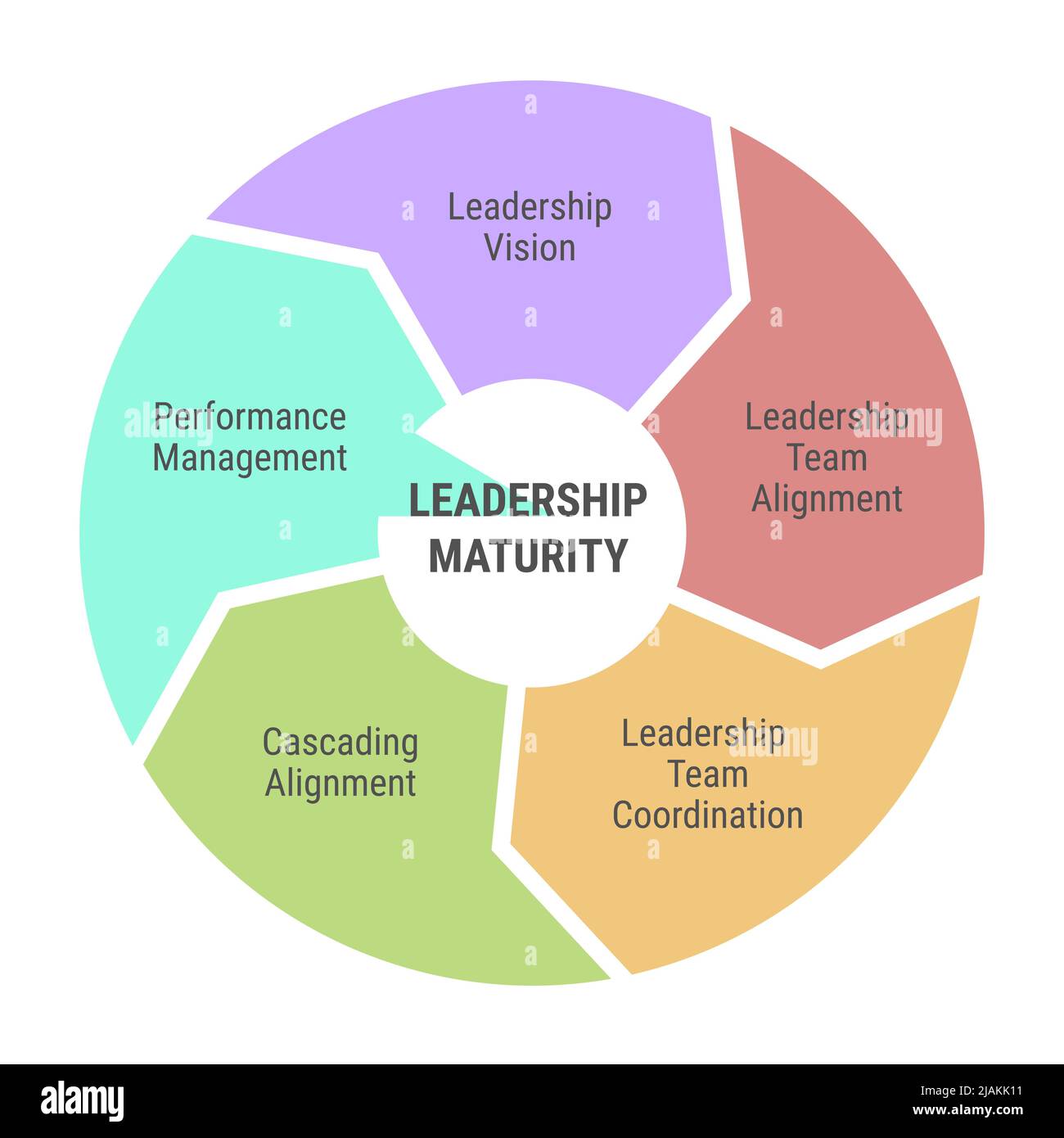 Kreisdiagramm zum Reifegrad der Führung. Infografik mit 5 Pfeilen. Vision, Teamausrichtung, Koordination und Leistungsmanagement. Mehrfarbig auf Weiß Stock Vektor